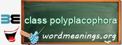 WordMeaning blackboard for class polyplacophora